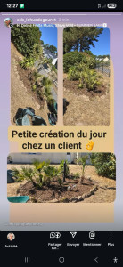 Photo de galerie - Modification et création d'un massif avec paillage en copeaux chez un client 