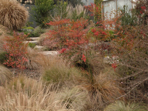 Photo de galerie - Jardin privé (hiver)