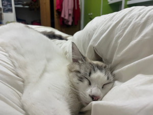 Photo de galerie - Yoga dit yo-yo