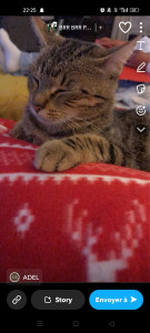 Photo de galerie - Nina 