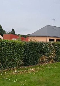 Photo de galerie - Taille de haies fleuries 