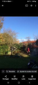 Photo de galerie - Travaux de tailles 
