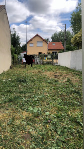 Photo de galerie - Après abattages 