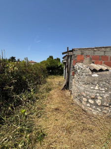 Photo de galerie - Tonte de pelouse - Débroussaillage