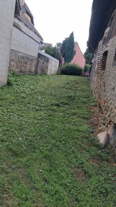 Photo de galerie - Debroussaillage 