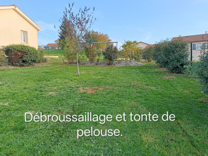 Photo de galerie - Tonte de pelouse - Débroussaillage