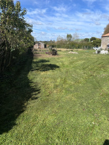 Photo de galerie - Tonte 