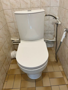 Photo de galerie - Remplacement d'un toilette 