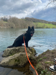 Photo de galerie - Balade en plein air 