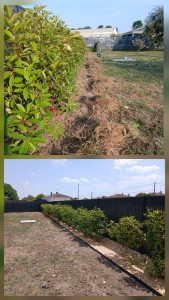 Photo de galerie - Mise en place d'une délimitation de haie avec des copeaux de bois naturels.

Cette solution offre de nombreux avantages :
✅ Un rendu propre et esthétique
✅ Une limitation de la pousse des mauvaises herbes
✅ Une meilleure conservation de l'humidité du sol
