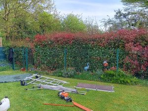 Photo de galerie - Pendant la taille