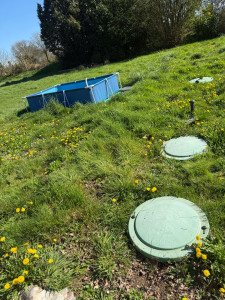 Photo de galerie - Tonte de pelouse - Débroussaillage
