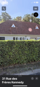 Photo de galerie - Haies 