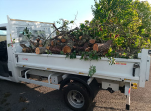 Photo de galerie - évacuation bois