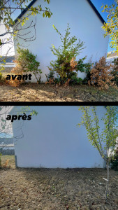 Photo de galerie - Remise en état d’un massif
