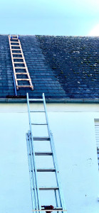Photo de galerie - ? DÉMOUSSAGE DE TOITURE  Protégez votre toit et prolongez sa durée de vie 