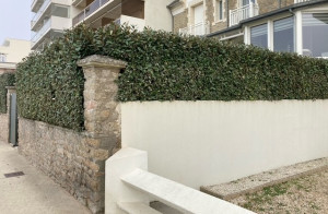 Photo de galerie - Prestation de jardinage