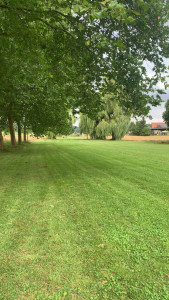 Photo de galerie - Tonte et débroussaillage 