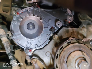 Photo de galerie - Distribution moteur Peugeot 1.4 hdi 