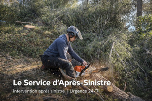 Photo de galerie - Abattage et débitage d’arbre à la tronçonneuse – intervention rapide à Saint-Cyr-sur-Mer et alentours.