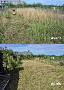 Photo de galerie - Remise au propre de jardin