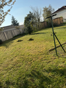 Photo de galerie - Paysagiste 