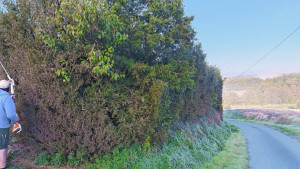 Photo de galerie - Avant
