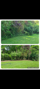 Photo de galerie - Paysagiste - Aménagement du jardin