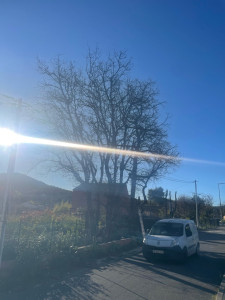 Photo de galerie - Avant 