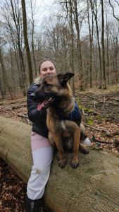 Photo de galerie - Balade de chiens