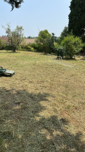 Photo de galerie - Débroussaillage 