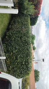 Photo de galerie - (Apres)