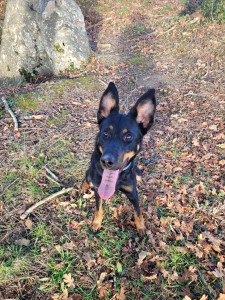 Photo de galerie - Zelda en randonnée 