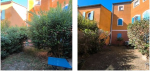 Photo de galerie - Taille de haies et d'arbustes