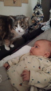 Photo de galerie - J'accueil a animal a la fois sauf s ils sont dans le même foyer. Je peux ainsi, leur donner toute mon attention .