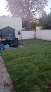 Photo de galerie - Aménagement d'un jardin : pose d'un gazon naturel en rouleau + plantation d'arbres fruitiers 