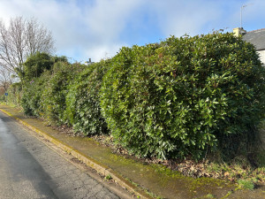 Photo de galerie - Jardinier