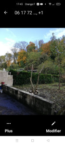 Photo de galerie - Tonte de pelouse - Débroussaillage