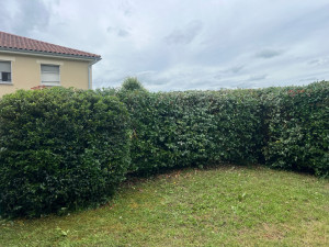 Photo de galerie - Jardinier