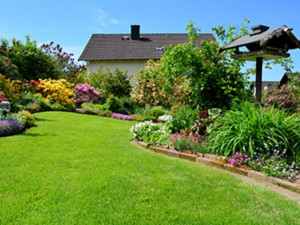 Photo de galerie - Travaux d'entretien des jardins 