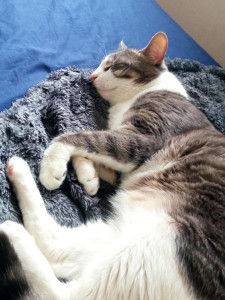 Photo de galerie - Bono 4 ans