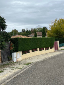 Photo de galerie - Taille de haie