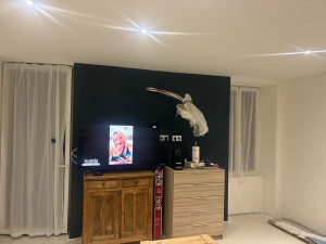 Photo de galerie - Rénovation d’un appartement: enduit , ponçage, peinture 