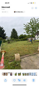 Photo de galerie - Tonte de pelouse 