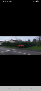 Photo de galerie - Taille de haie