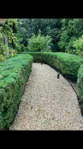 Photo de galerie - Taille - nettoyage au souffleur -  évacuation des déchets 