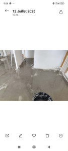 Photo de galerie - Peinture - Tapisserie