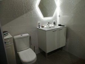 Photo de galerie - Sdb réalisé.
Faience et pose sanitaire