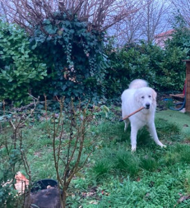 Photo de galerie - Un beau souvenir de garde :)