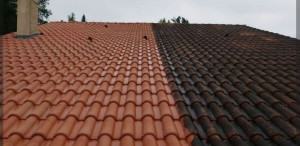 Photo de galerie - Nettoyage d'une toiture avec mise en œuvre d'un hydrofuge.